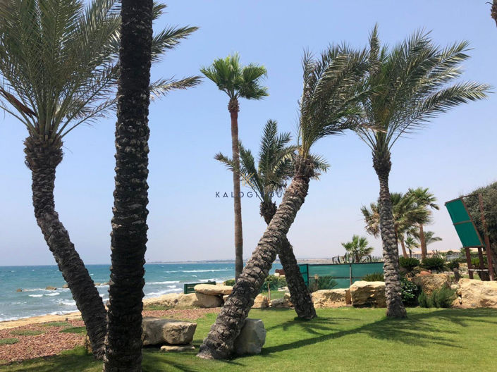 Image No.36-4 Bed House for sale