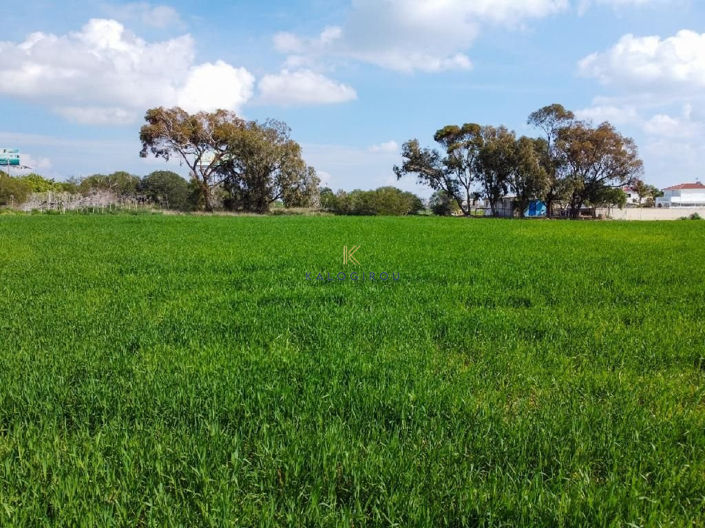 Image No.5-Land for sale