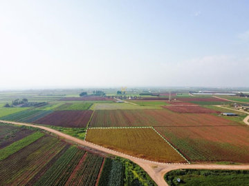 hd1080