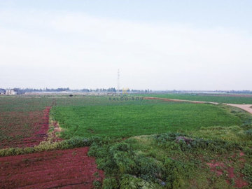 hd1080