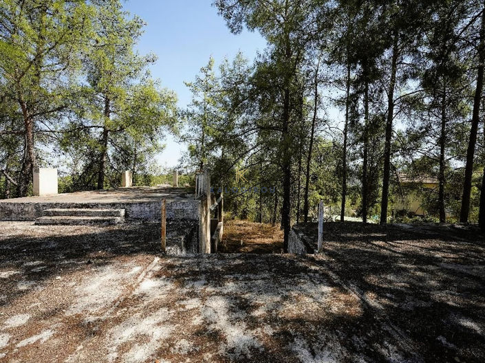 Image No.5-Commercial à vendre à Nicosie