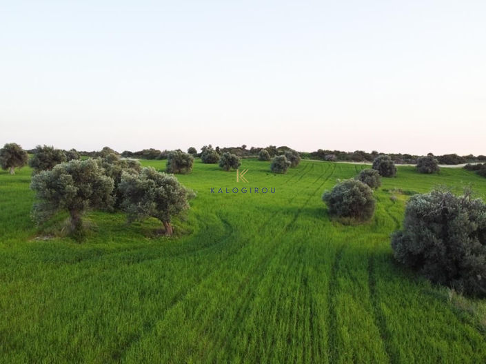 Image No.5-Land for sale