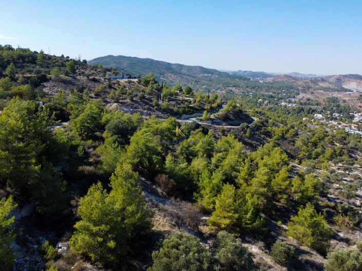 Image No.3-Terre à vendre à Psevdas