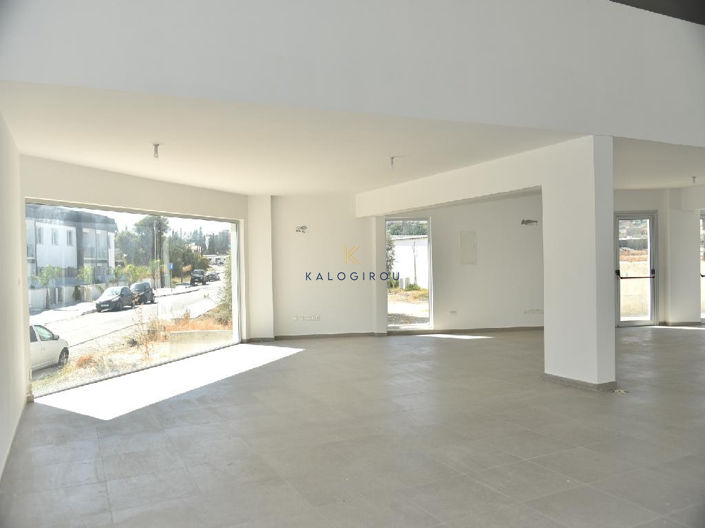 Image No.12-Commercial à vendre à Anglisides