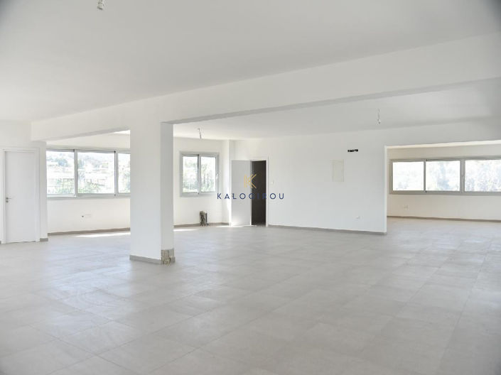 Image No.14-Commercial à vendre à Anglisides