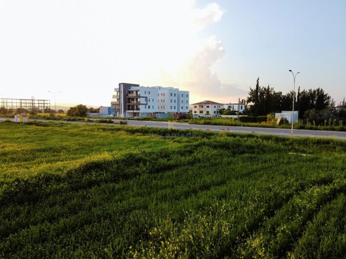 Image No.4-Land for sale