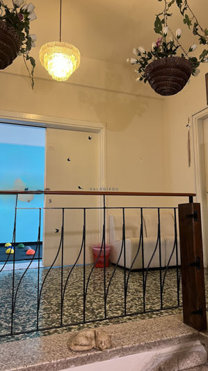 Image No.3-Commercial for sale