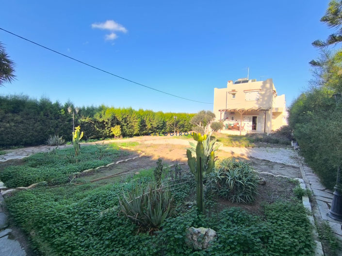 Image No.24-3 Bed House for sale