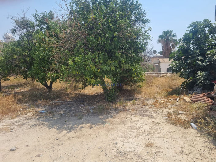 Image No.3-Plot for sale