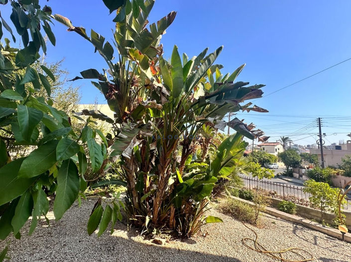 Image No.26-4 Bed House for sale