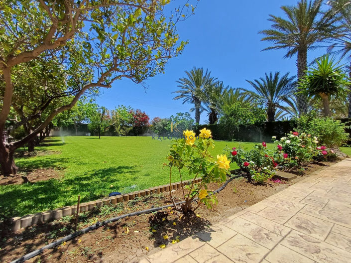 Image No.28-Maison de 3 chambres à vendre à Pervolia