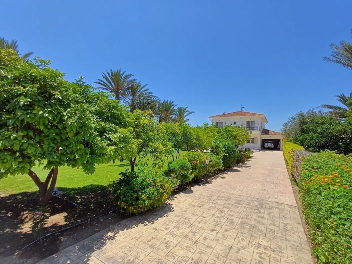 Image No.29-Maison de 3 chambres à vendre à Pervolia