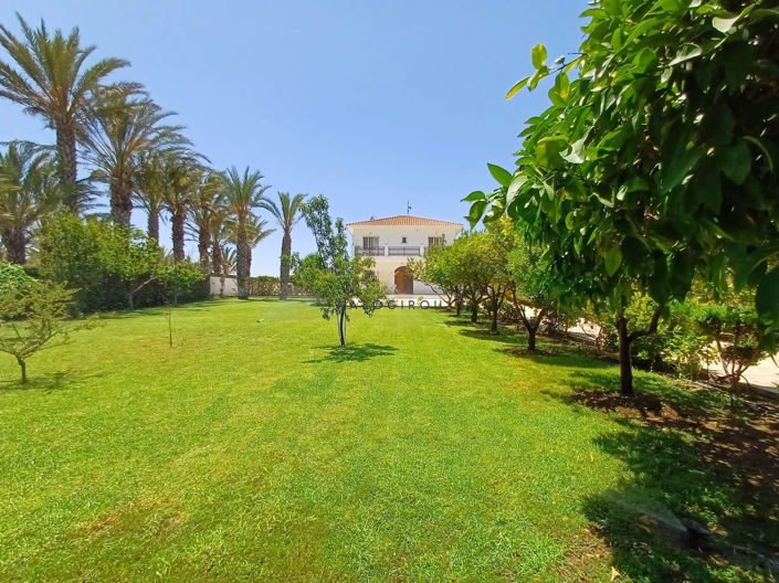 Image No.3-Maison de 3 chambres à vendre à Pervolia