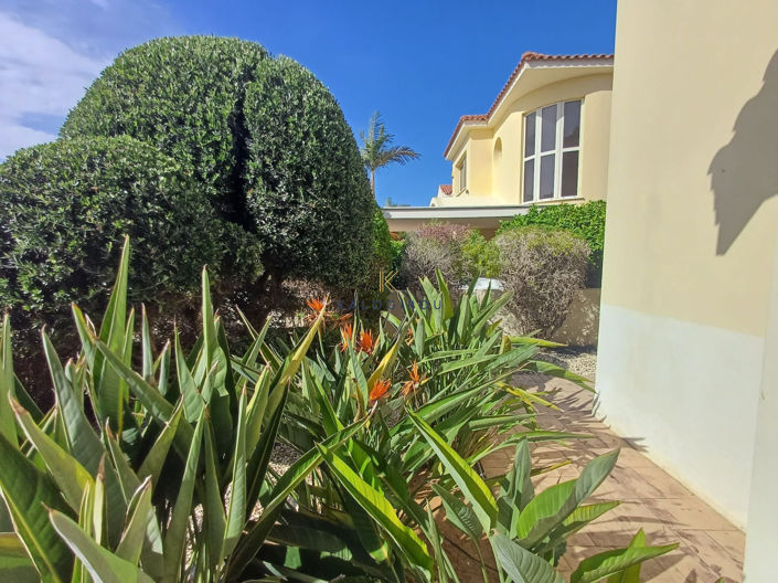 Image No.16-Maison de 3 chambres à vendre à Pervolia