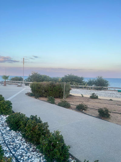 Image No.20-3 Bed House for sale