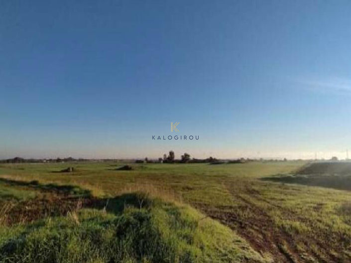 Image No.2-Terre à vendre à Xylofagou