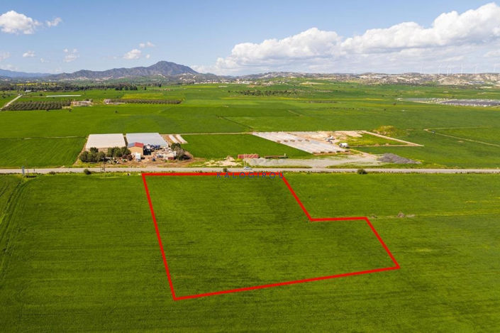 Image No.3-Terre à vendre à Kiti