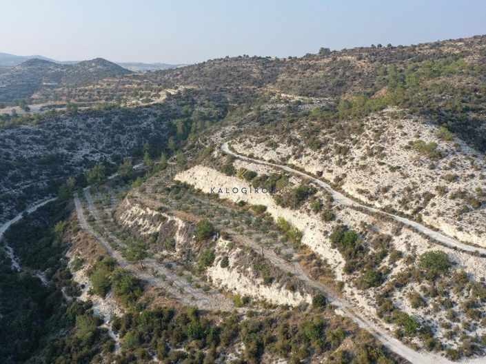 Image No.3-Land for sale