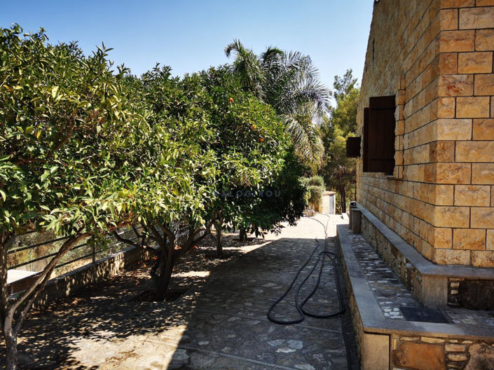 Image No.25-4 Bed House for sale
