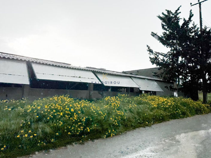 Image No.3-Farmhouse for sale