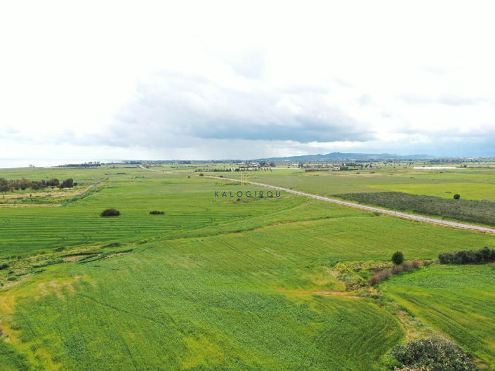 Image No.3-Land for sale