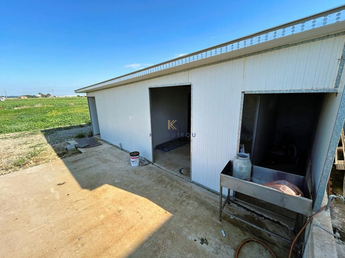 Image No.23-5 Bed House for sale