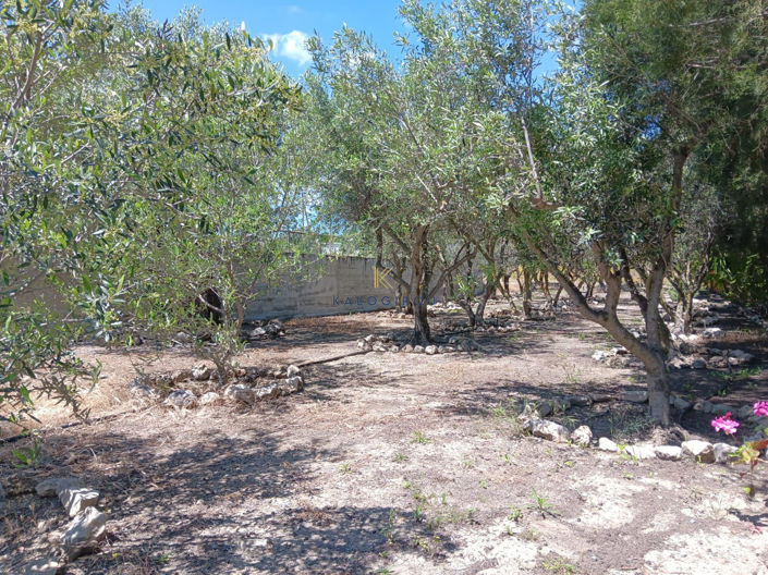 Image No.16-2 Bed Bungalow for sale