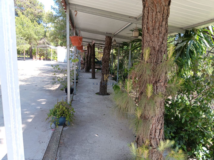 Image No.20-2 Bed Bungalow for sale