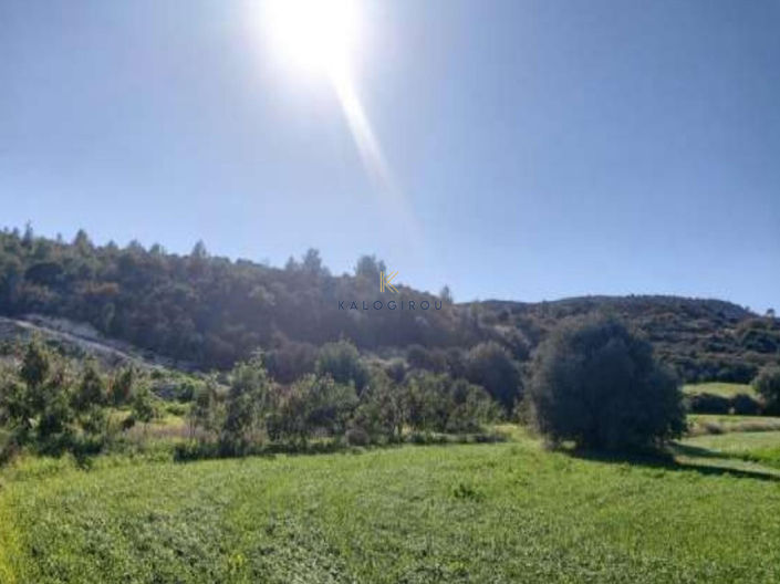 Image No.5-Land for sale