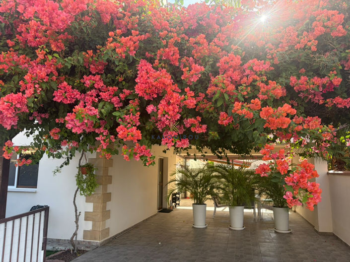 Image No.34-4 Bed House for sale