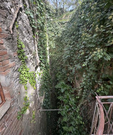 Image No.31-Jumelé à vendre à Novara di Sicilia