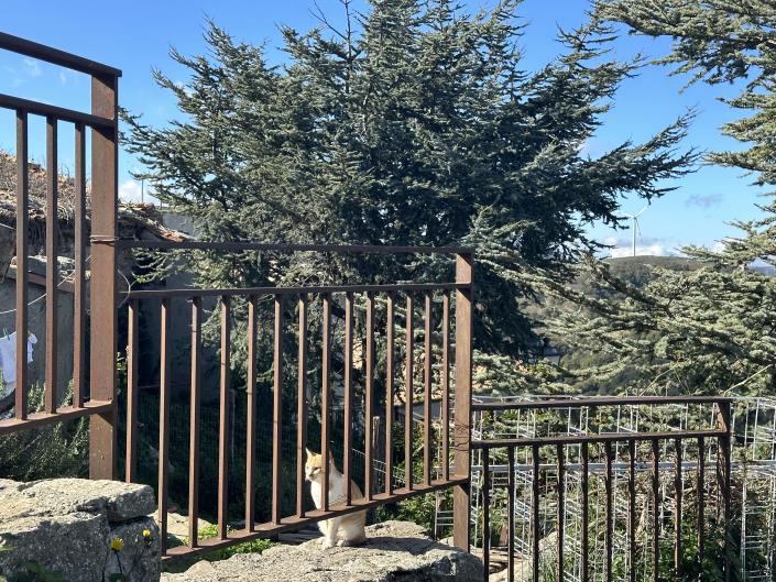 Image No.11-2 Bed Semi-Detached for sale