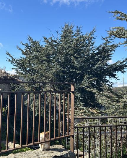 Image No.14-2 Bed Semi-Detached for sale