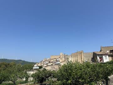IMG_2042