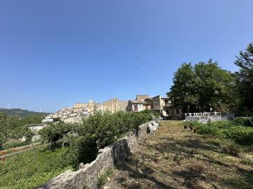 IMG_2041