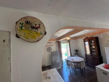 Immagine-WhatsApp-2025-07-29-ore-11-20-35_cbfe87d2