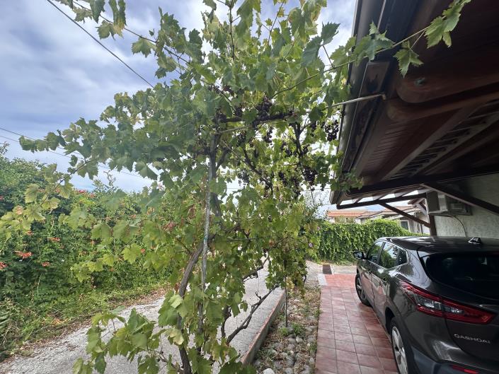 Image No.30-3 Bed Semi-Detached for sale