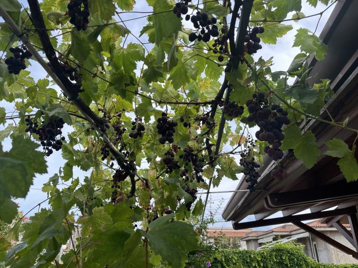 Image No.31-3 Bed Semi-Detached for sale