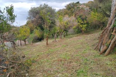 WhatsApp-Image-2026-01-14-at-14-54-09