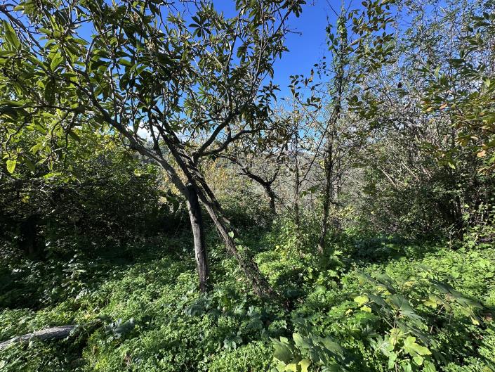 Image No.38-2 Bed House for sale