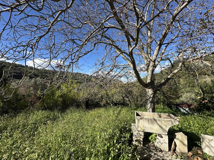 Image No.25-2 Bed House for sale