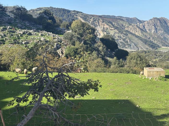 Image No.46-3 Bed Townhouse for sale