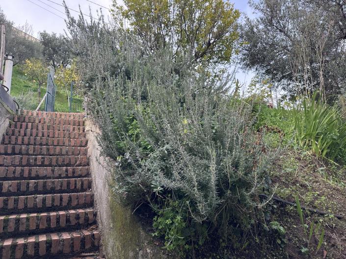 Image No.36-Maison de campagne de 1 chambre à vendre à Patti