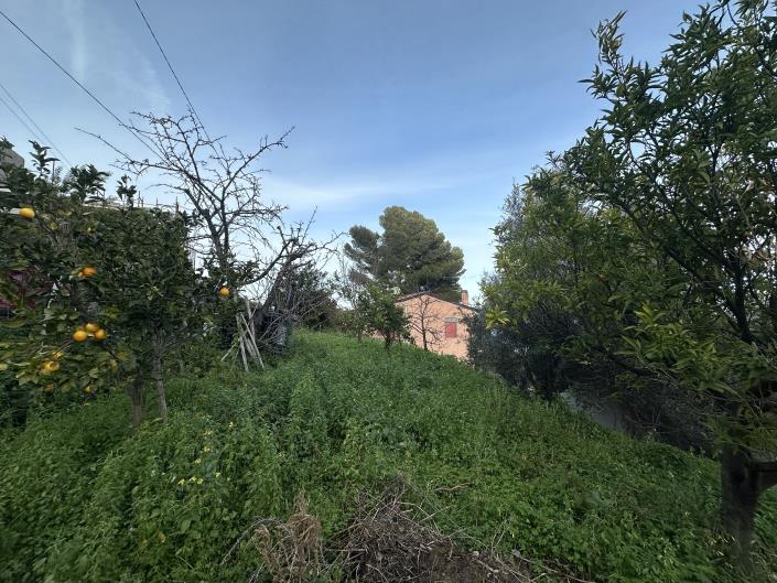 Image No.37-Maison de campagne de 1 chambre à vendre à Patti