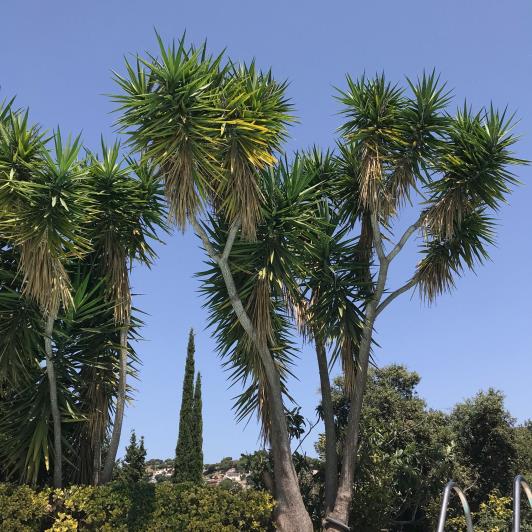 Image No.28-4 Bed Villa / Detached for sale