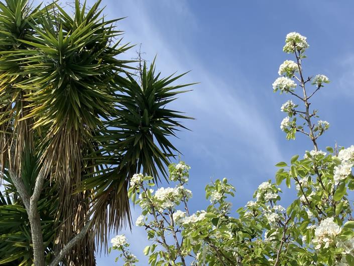 Image No.35-4 Bed Villa / Detached for sale