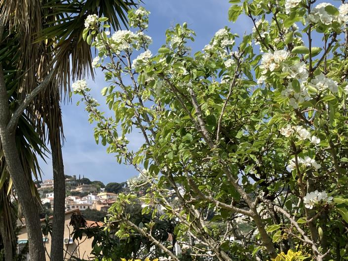 Image No.36-4 Bed Villa / Detached for sale