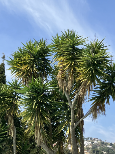 Image No.41-4 Bed Villa / Detached for sale