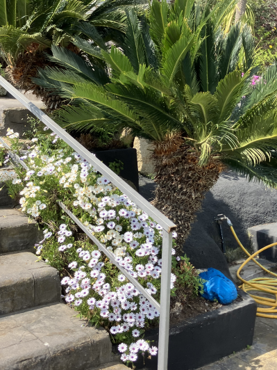 Image No.48-4 Bed Villa / Detached for sale