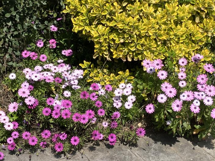 Image No.51-4 Bed Villa / Detached for sale